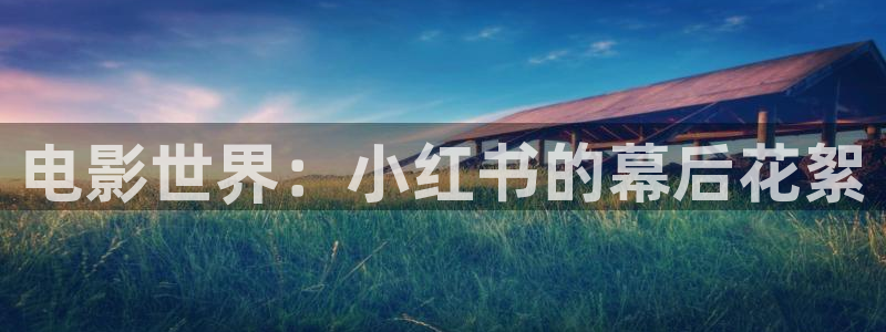 茄子视频a