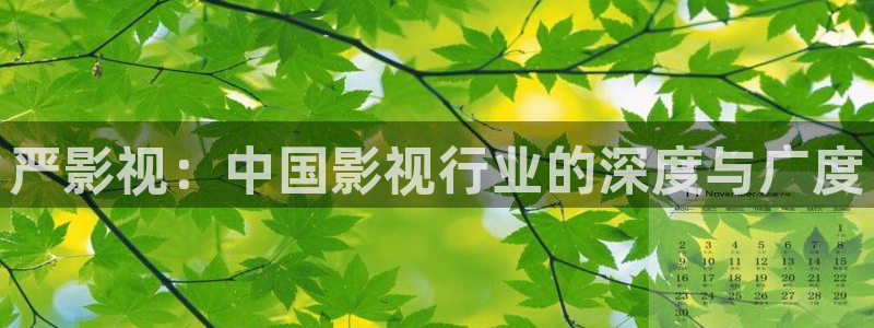 茄子视频一