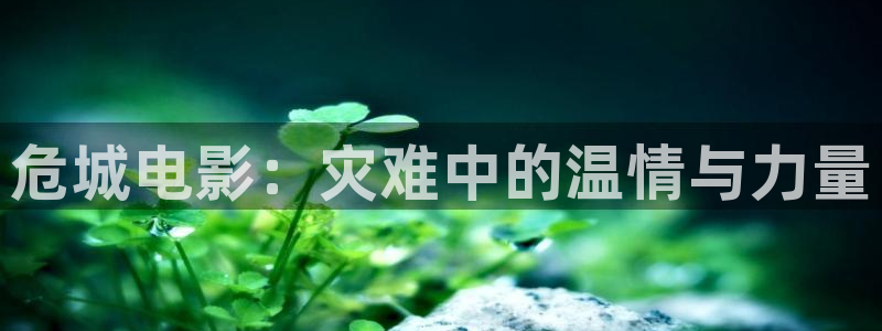 茄子视频一