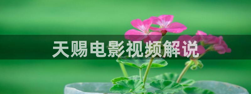 樱桃茄子视频