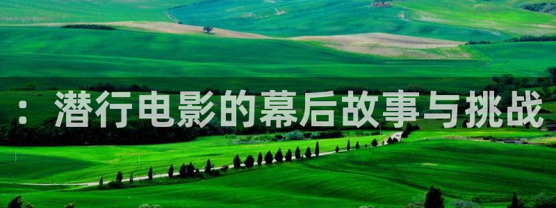 茄子视频 magnet