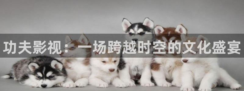 茄子视频a