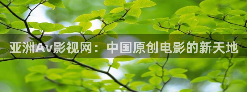 茄子视频视频