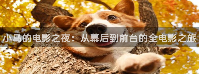 91茄子视频