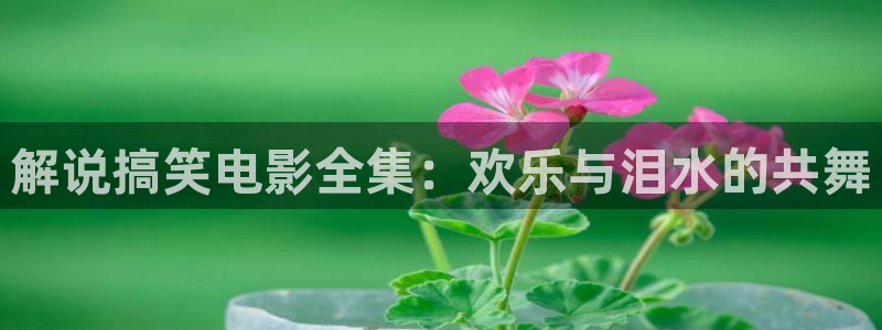 丝瓜茄子视频在线观看