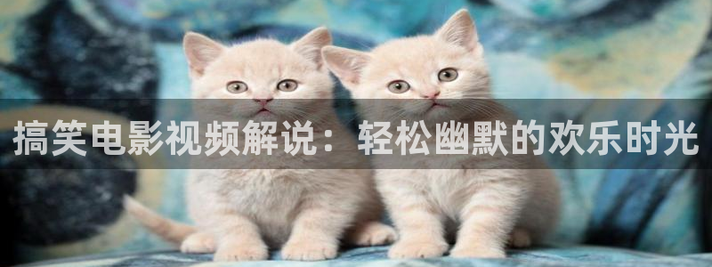 91茄子视频