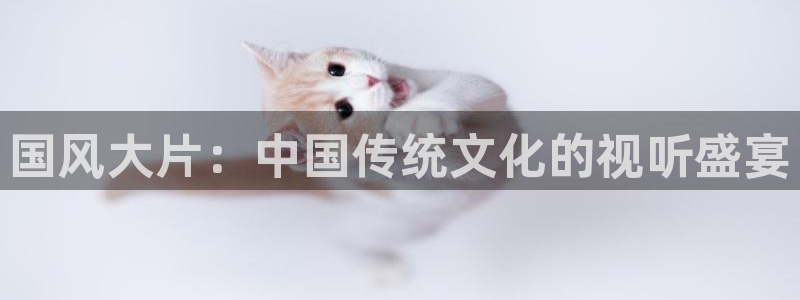 91茄子视频