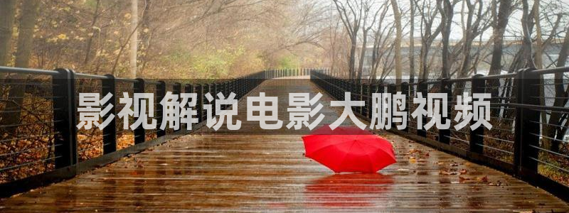 茄子视频视频