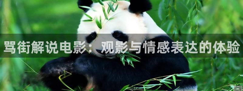 樱花视频茄子视频