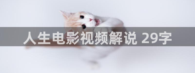 大茄子视频