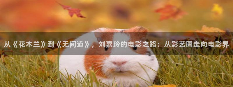 茄子视频了