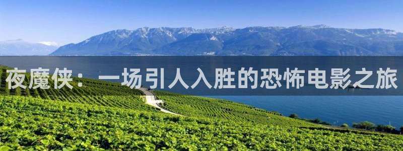 茄子视频www