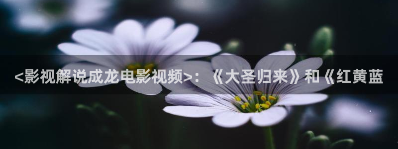qiezi茄子视频
