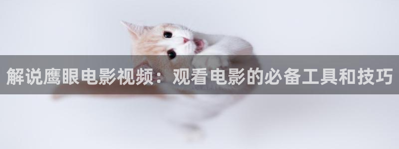 茄子视频qz