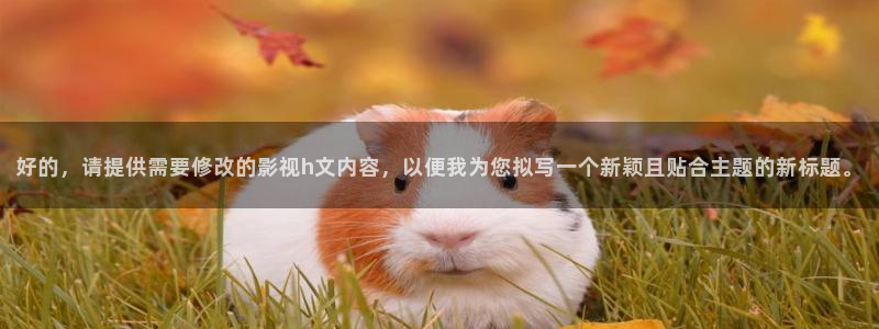 茄子视频视频