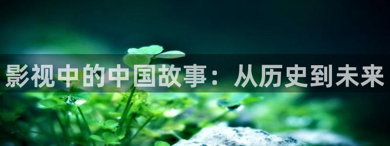 大茄子视频