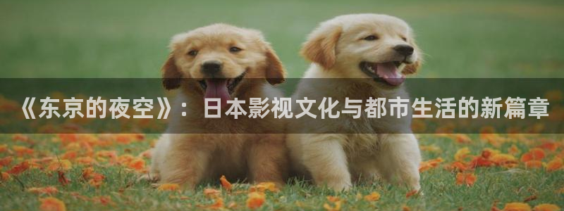 四虎茄子视频：《东京的夜空》：日本影视文化与都市生活的新篇章