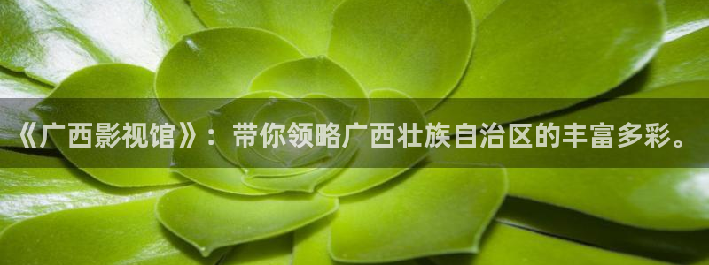 茄子视频?：《广西影视馆》：带你领略广西壮族自治区的丰富多彩。