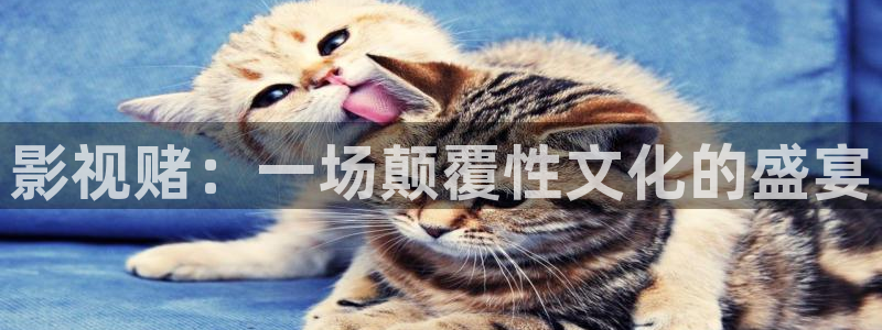 樱桃茄子视频