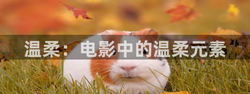 茄子视频一