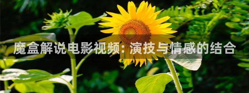 茄子视频无限看丝瓜视频丝瓜视免费观看