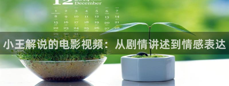 大茄子视频