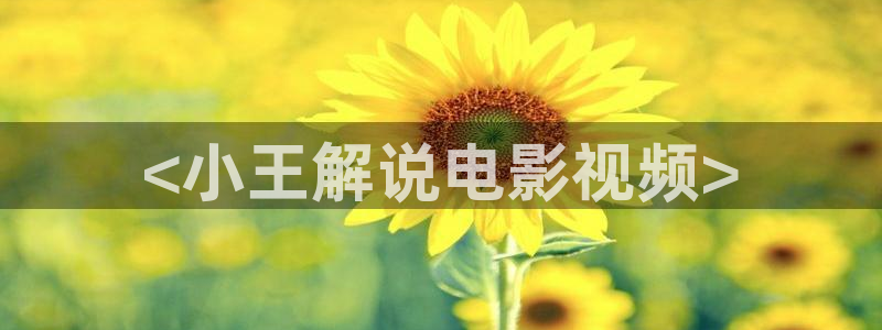茄子视频www