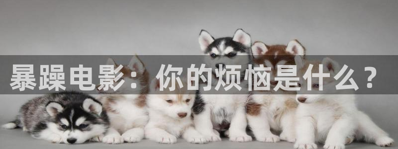 丝瓜茄子视频在线观看